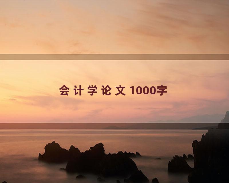 会计学论文1000字