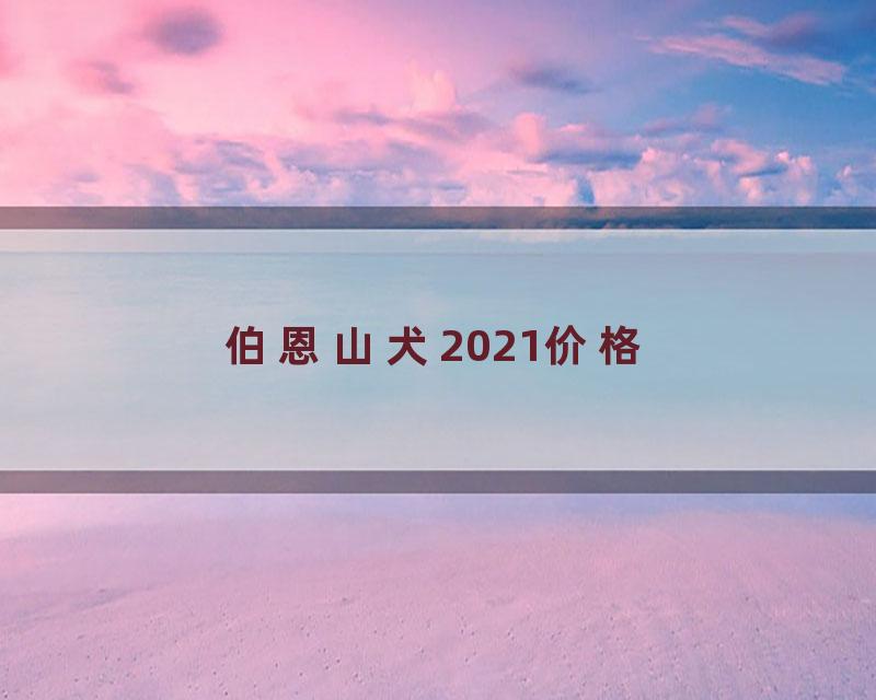 伯恩山犬2021价格