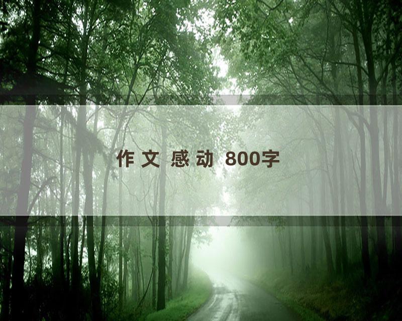 作文 感动 800字