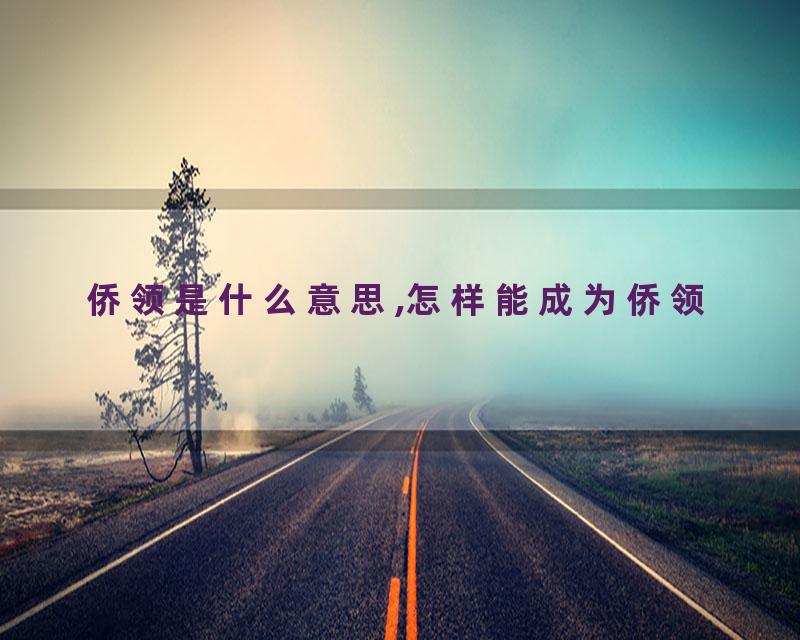 侨领是什么意思,怎样能成为侨领