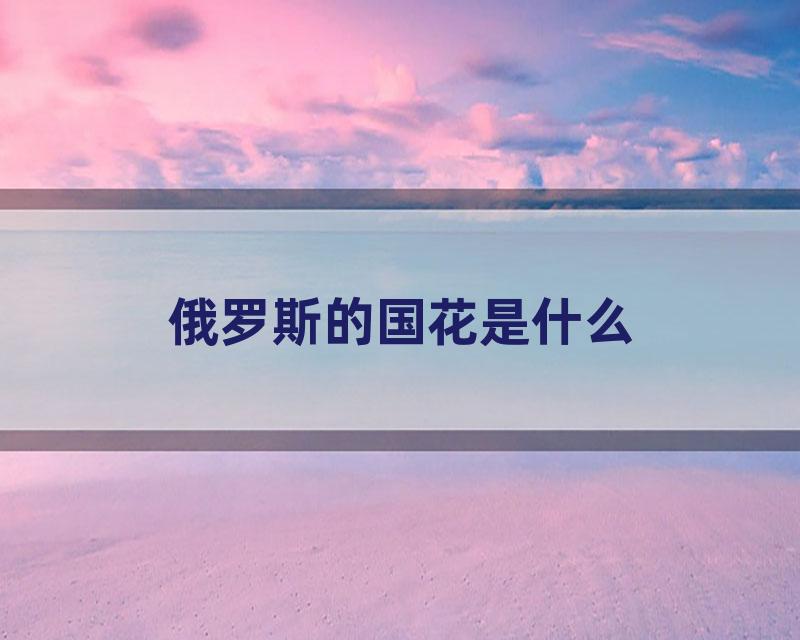 俄罗斯的国花是什么