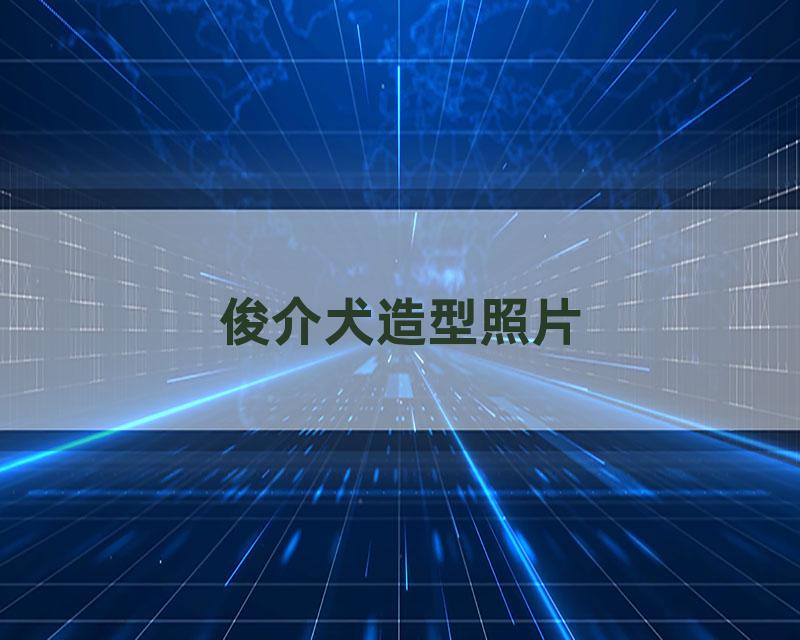 俊介犬造型照片