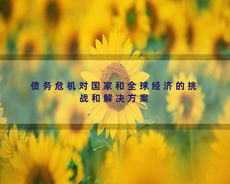 债务危机对国家和全球经济的挑战和解决方案