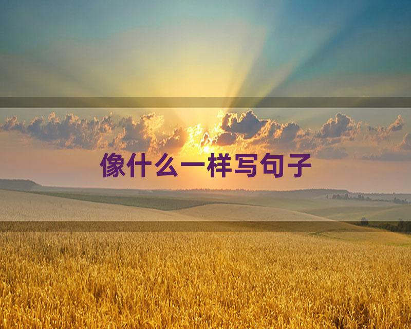 像什么一样写句子