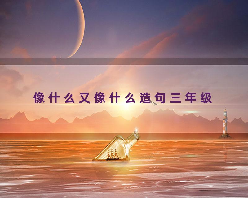 像什么又像什么造句三年级