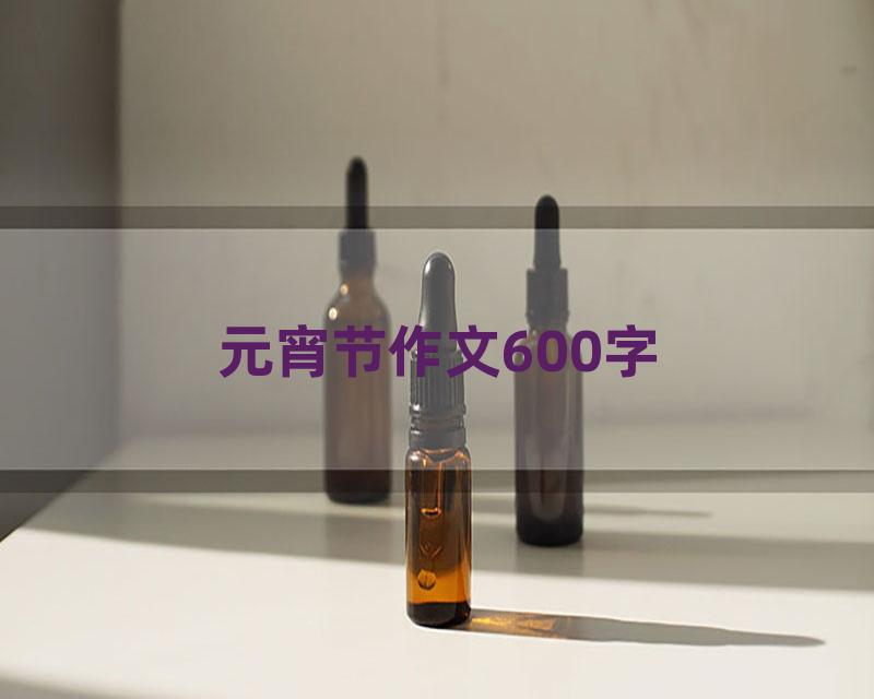 元宵节作文600字
