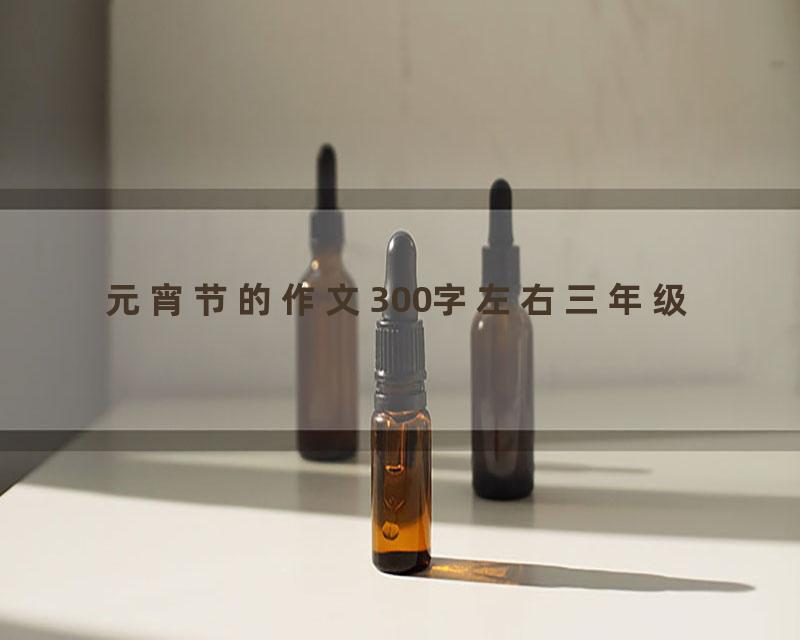 元宵节的作文300字左右三年级