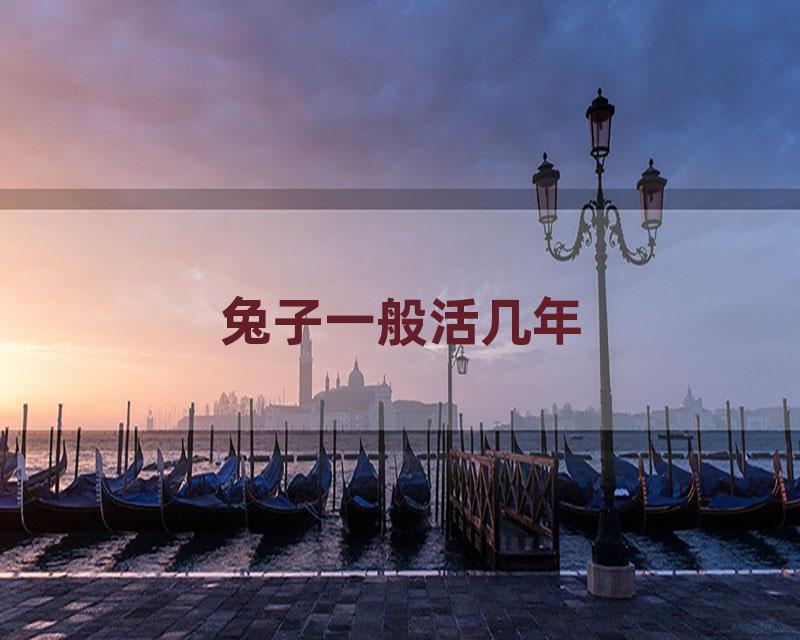 兔子一般活几年