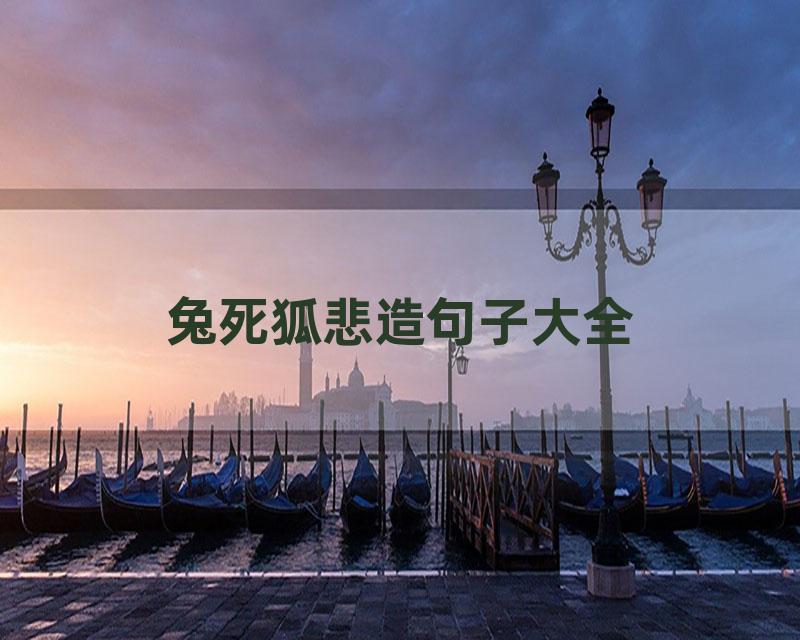 兔死狐悲造句子大全