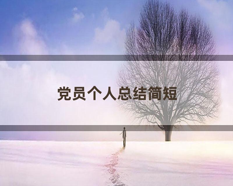 党员个人总结简短