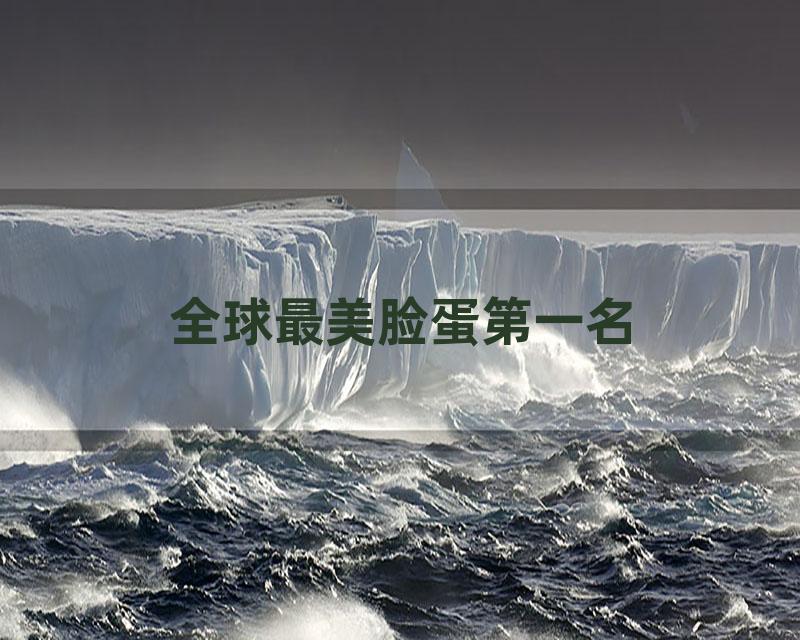 全球最美脸蛋第一名