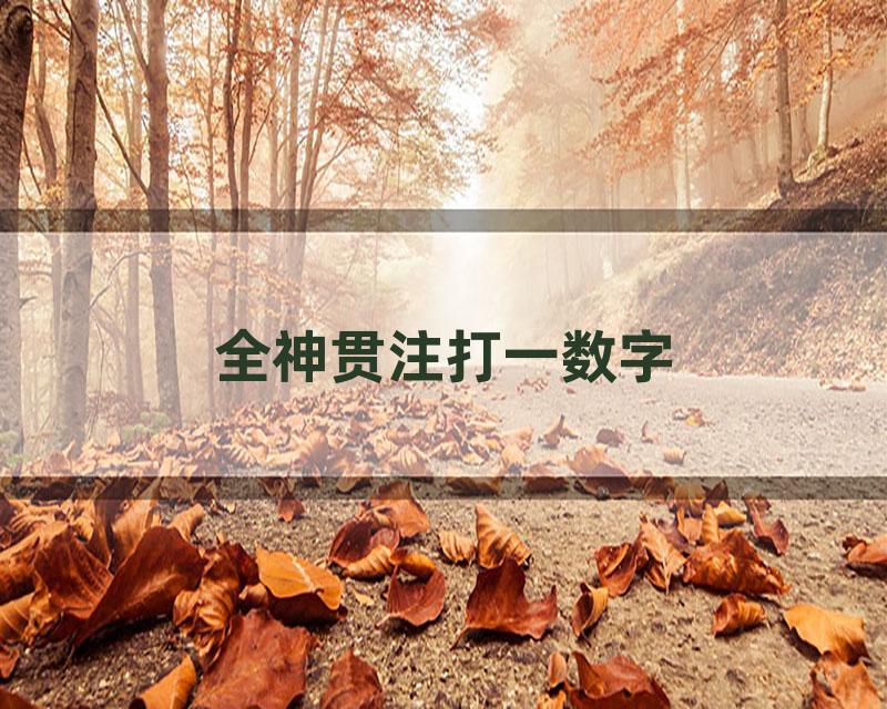 全神贯注打一数字