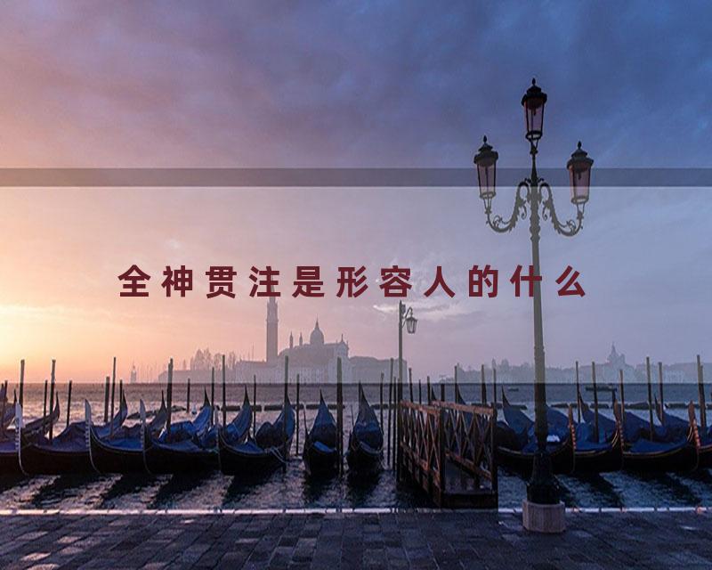 全神贯注是形容人的什么