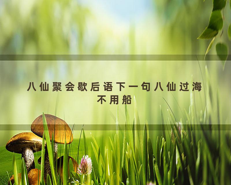 八仙聚会歇后语下一句八仙过海不用船