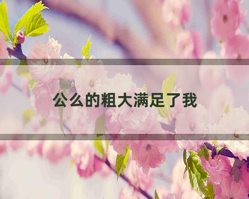 公么的粗大满足了我