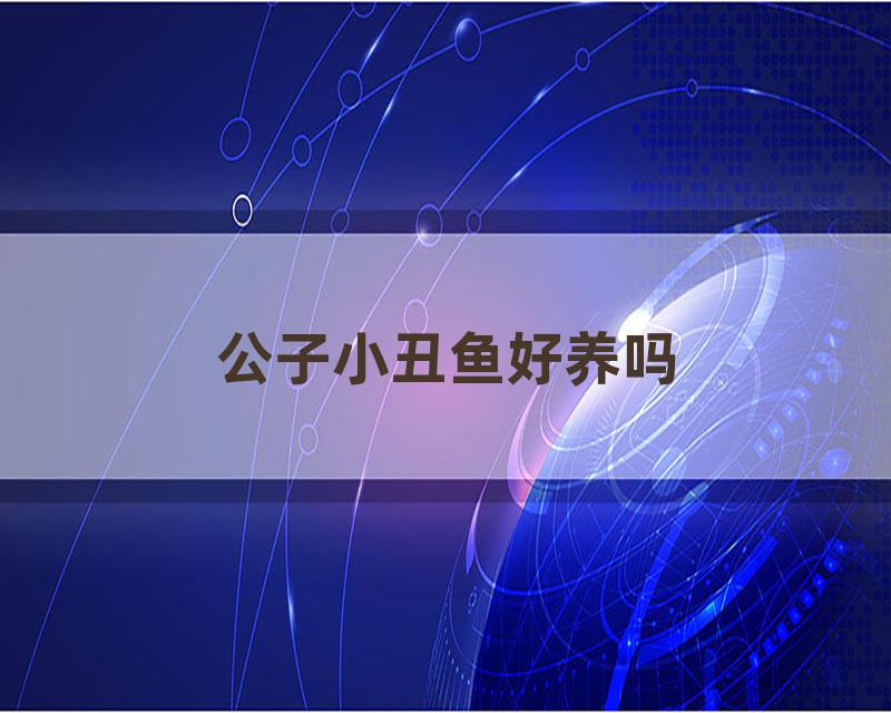 公子小丑鱼好养吗