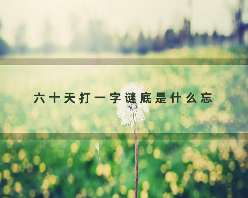 六十天打一字谜底是什么忘