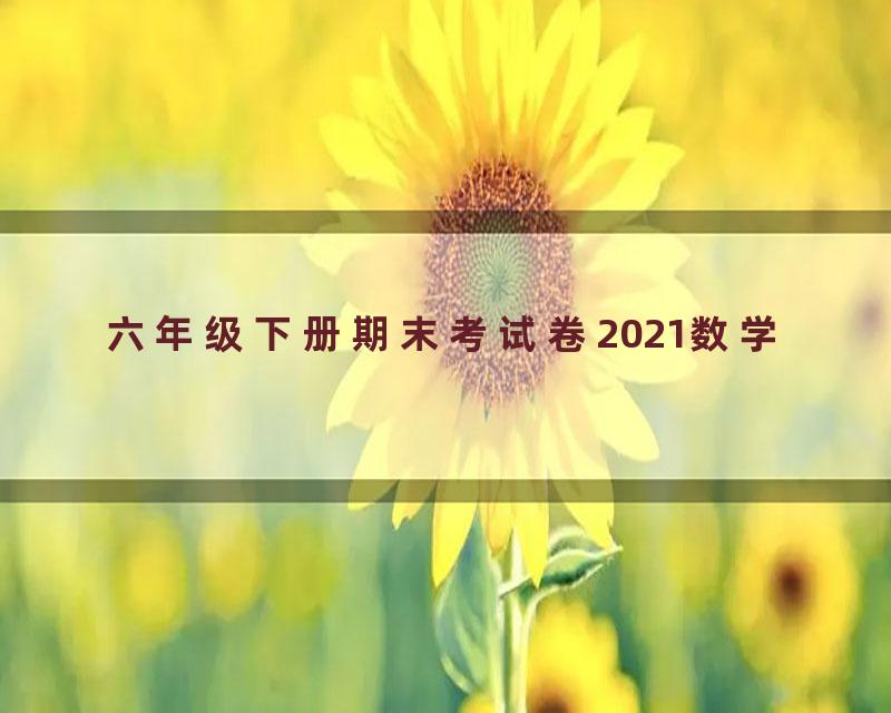 六年级下册期末考试卷2021数学