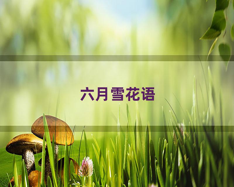 六月雪花语