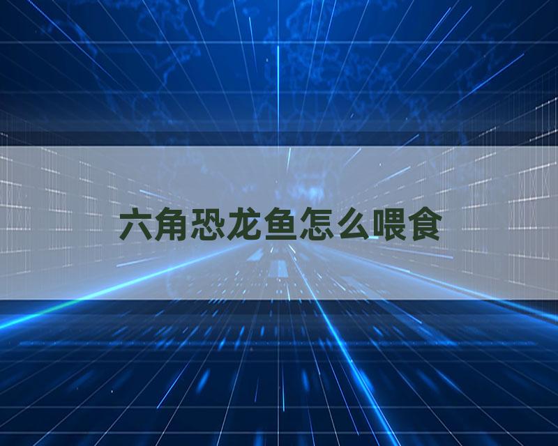 六角恐龙鱼怎么喂食