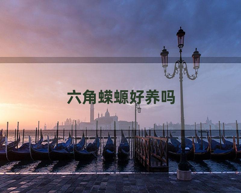 六角蝾螈好养吗