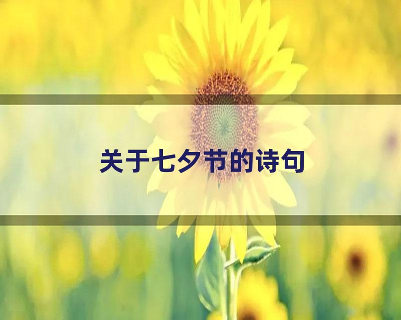 关于七夕节的诗句
