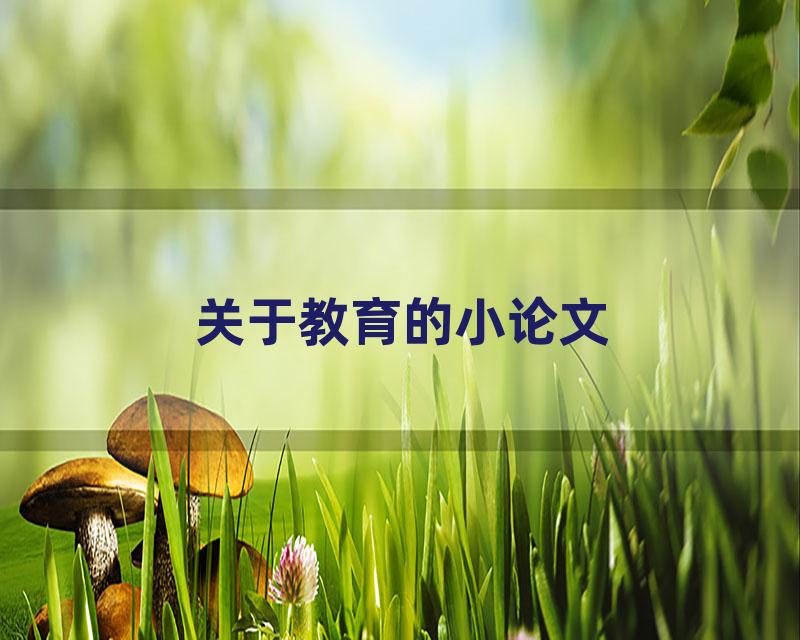 关于教育的小论文