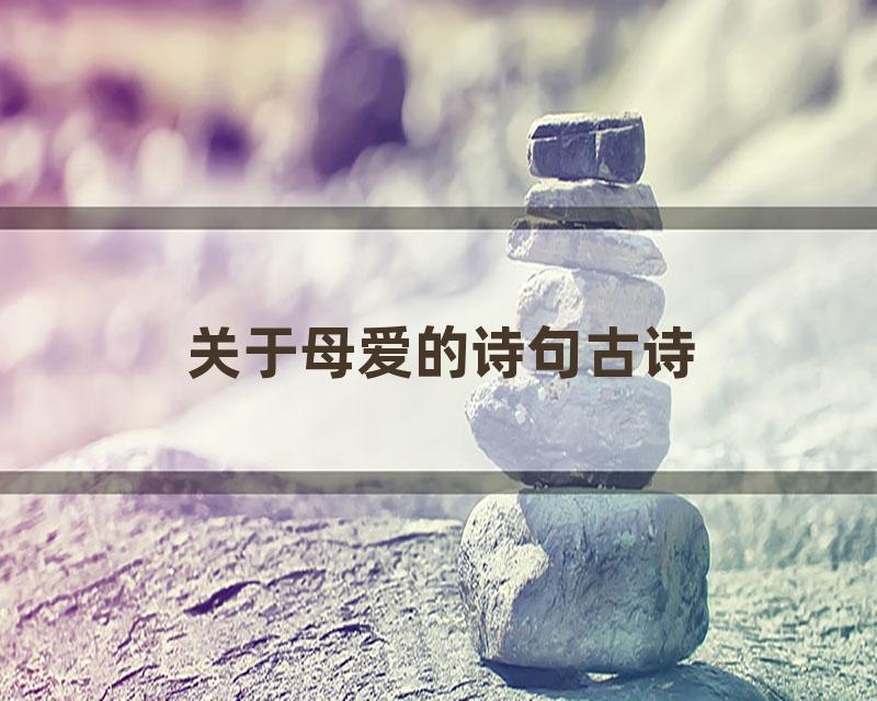 关于母爱的诗句古诗