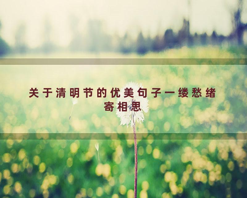 关于清明节的优美句子一缕愁绪寄相思