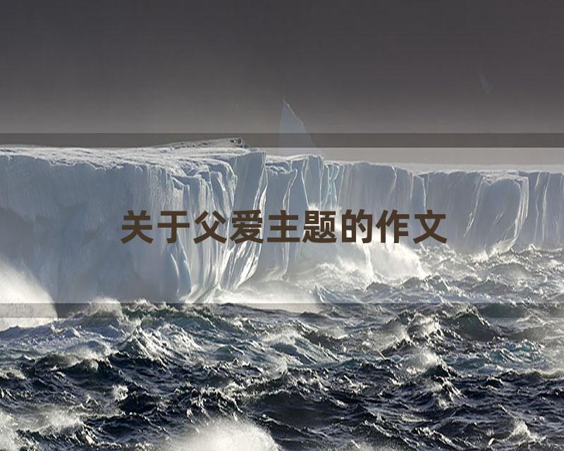 关于父爱主题的作文