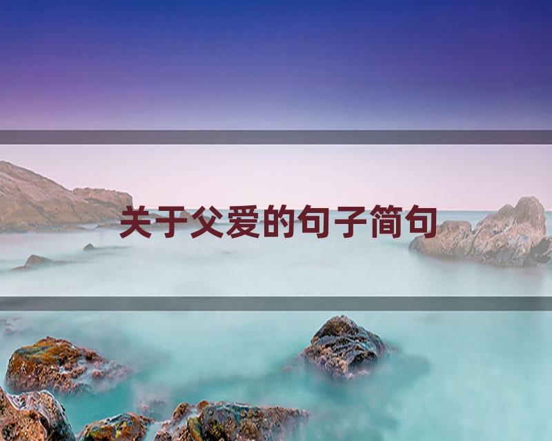 关于父爱的句子简句