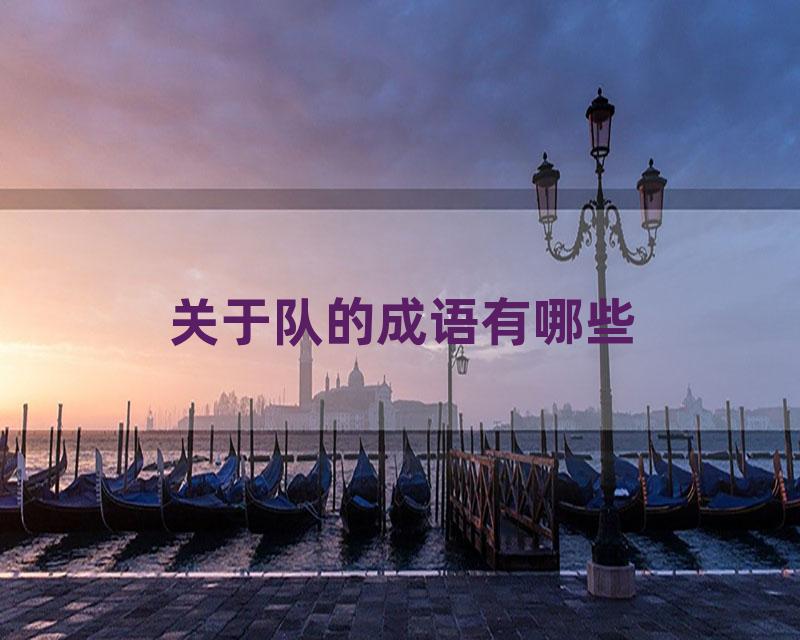 关于队的成语有哪些