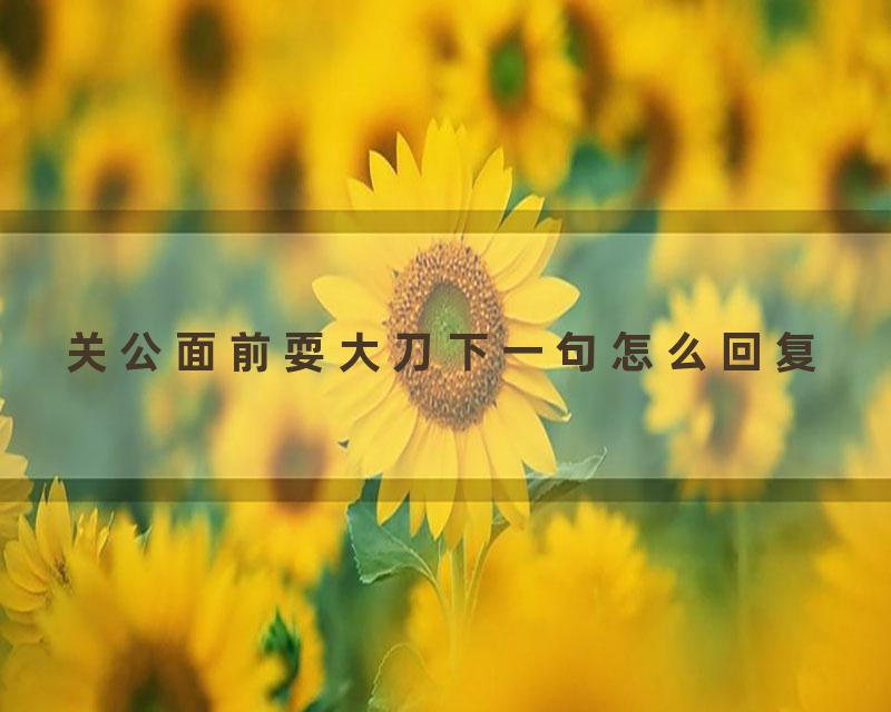 关公面前耍大刀下一句怎么回复