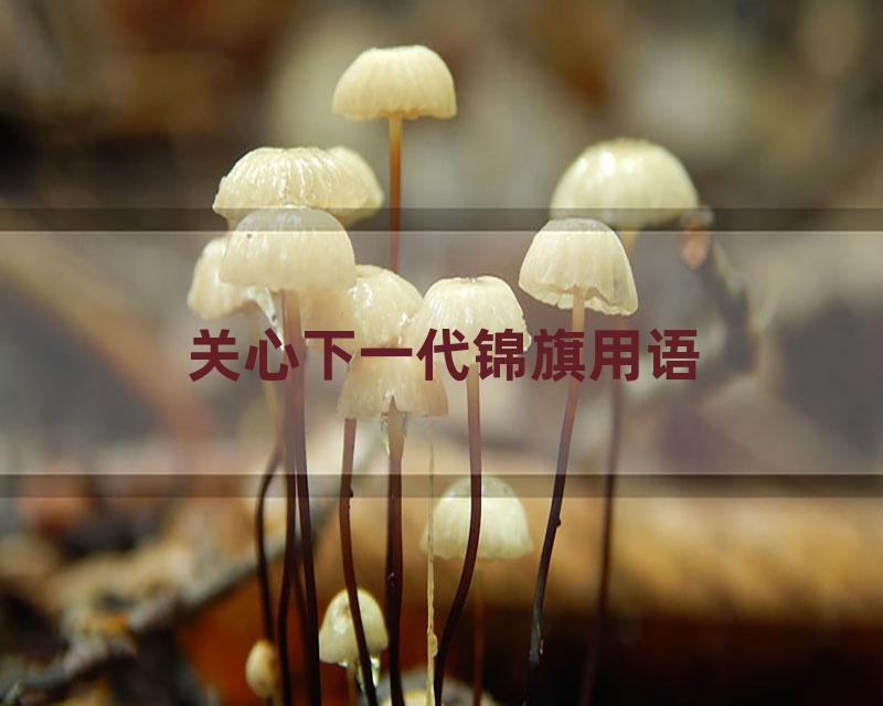 关心下一代锦旗用语