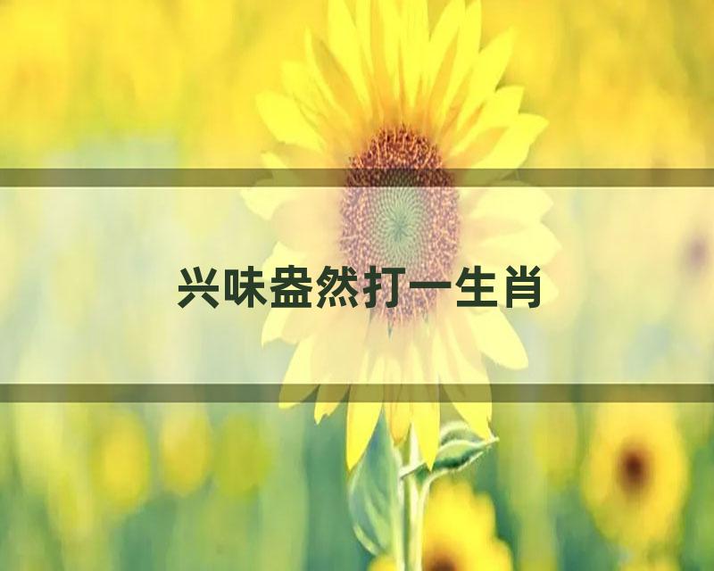 兴味盎然打一生肖