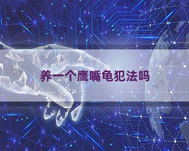 养一个鹰嘴龟犯法吗