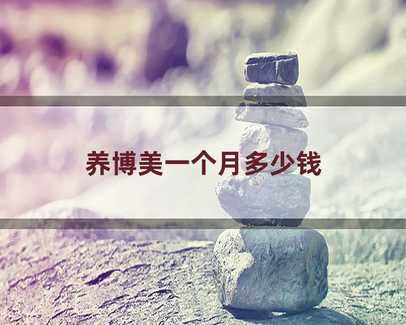 养博美一个月多少钱