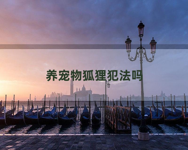 养宠物狐狸犯法吗