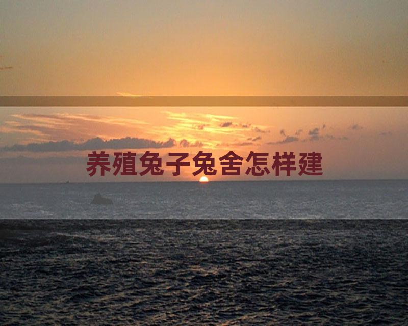 养殖兔子兔舍怎样建