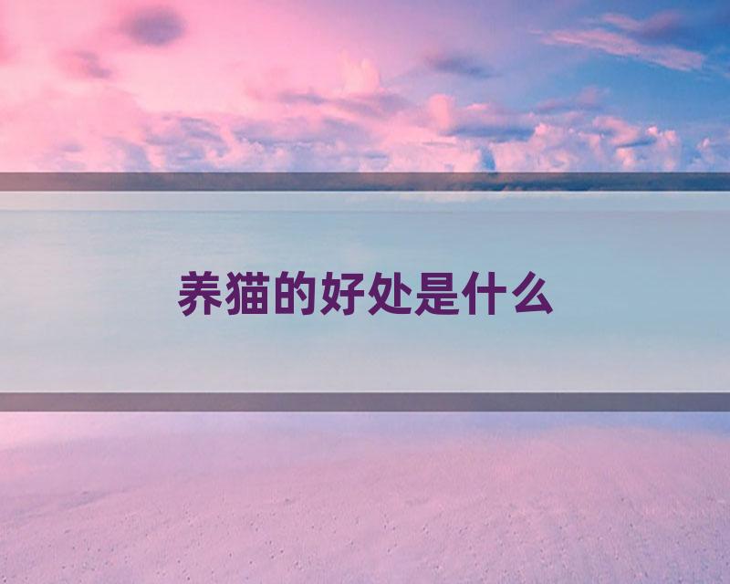 养猫的好处是什么