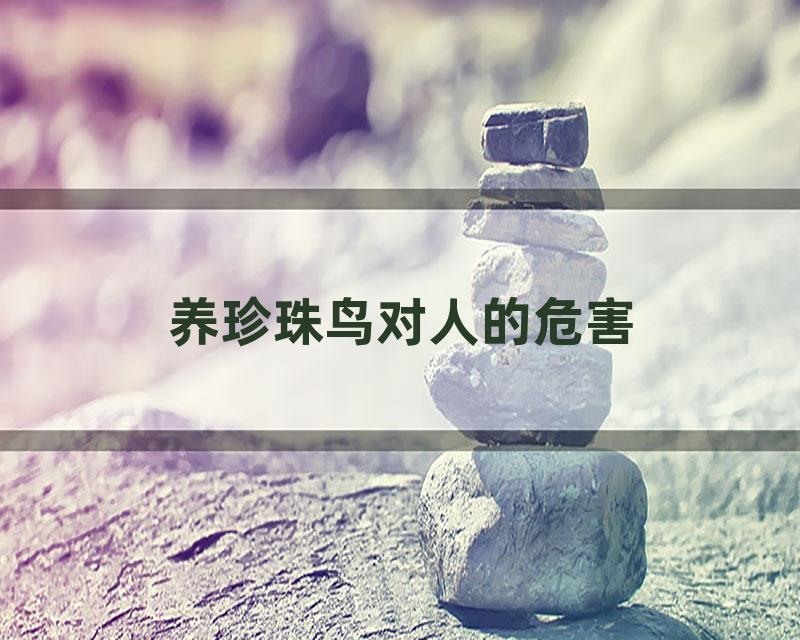 养珍珠鸟对人的危害
