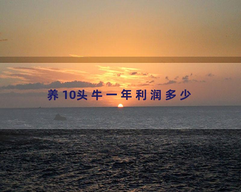 养10头牛一年利润多少