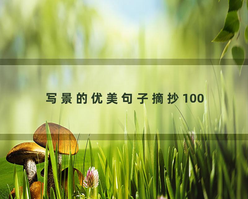写景的优美句子摘抄100