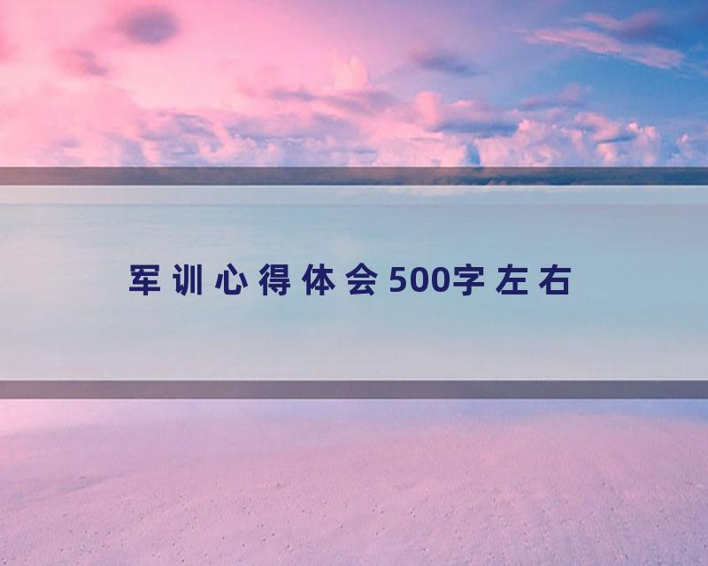 军训心得体会500字左右