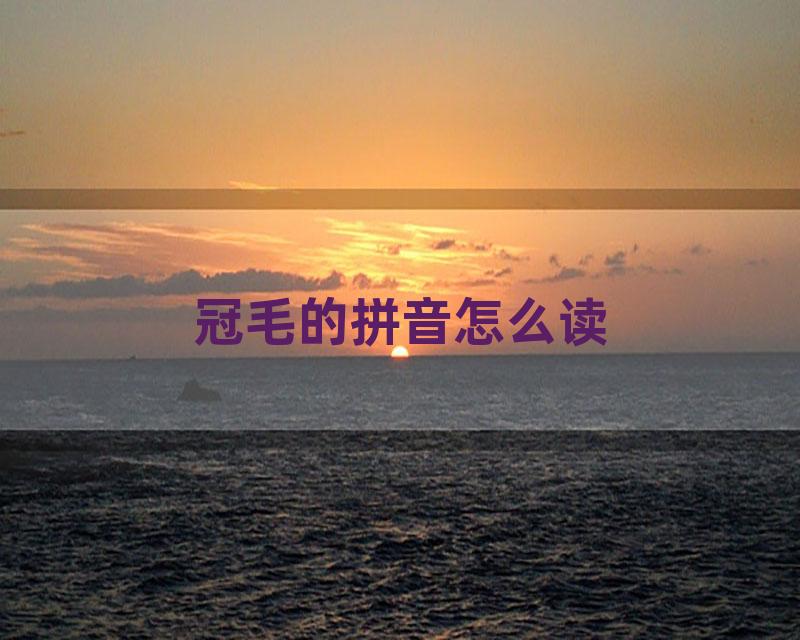 冠毛的拼音怎么读