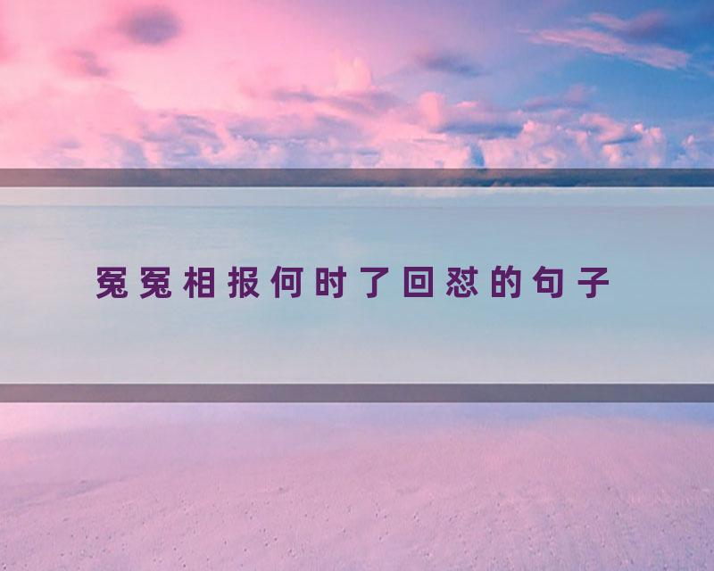 冤冤相报何时了回怼的句子