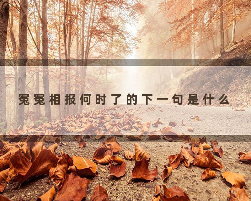 冤冤相报何时了的下一句是什么
