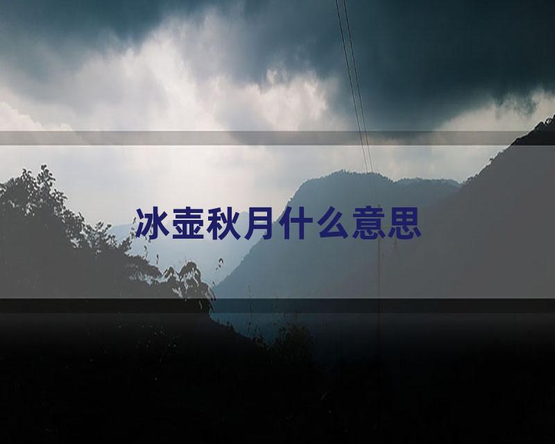 冰壶秋月什么意思