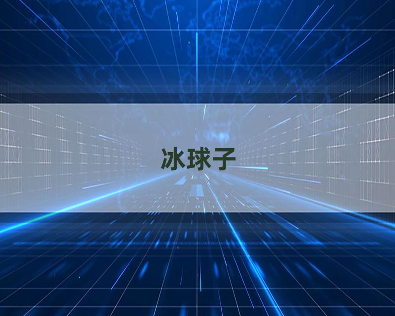 冰球子