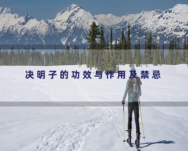 决明子的功效与作用及禁忌